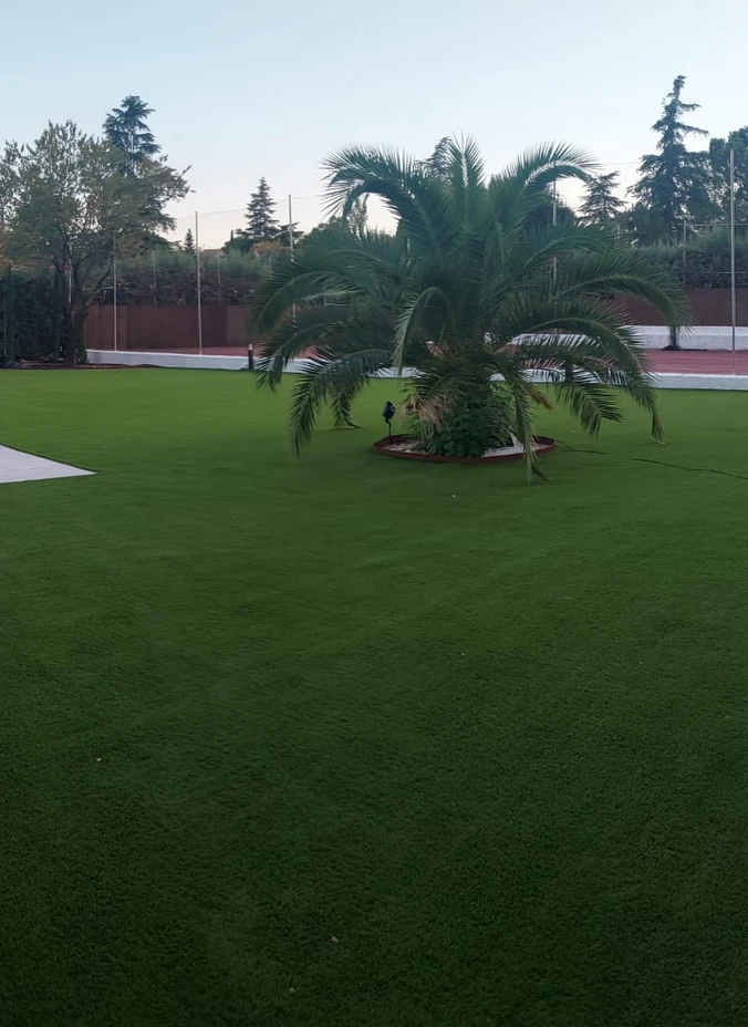 Jardín con césped artificial y una palmera