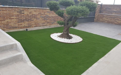 Borde de acero alrededor de una palmera junto al césped