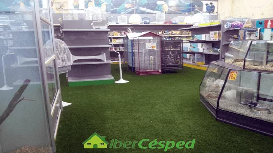 Desinfectar hongos de su césped artificial